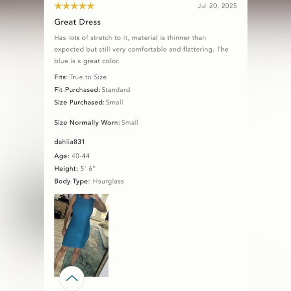 NWT By Anthropologie 3X Plus Textured Mini Shift Dress Blue - Picture 9 of 14